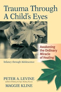 Trauma Through a Child's Eyes voorzijde