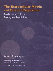 The Extracellular Matrix and Ground Regulation