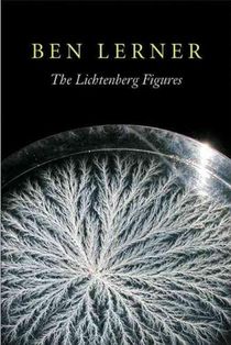 The Lichtenberg Figures