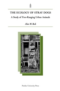 The Ecology of Stray Dogs