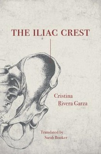 The Iliac Crest voorzijde