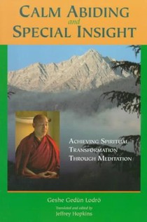 Calm Abiding and Special Insight