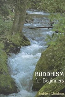 Buddhism for Beginners