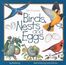 Birds, Nests, and Eggs