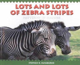 Lots and Lots of Zebra Stripes