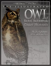 Illustrated Owl: Barn, Barred & Great Horned