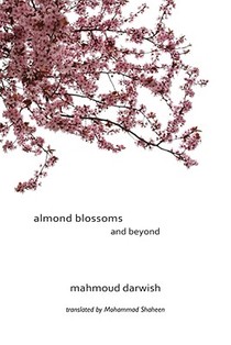 ALMOND BLOSSOMS & BEYOND voorzijde