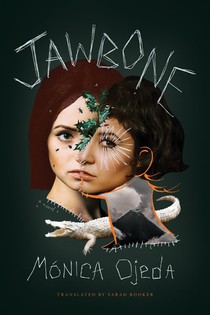 Ojeda, M: Jawbone