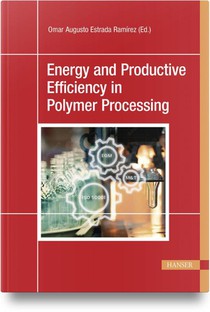 Energy and Productive Efficiency in Polymer Processing