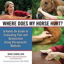 WHERE DOES MY HORSE HURT