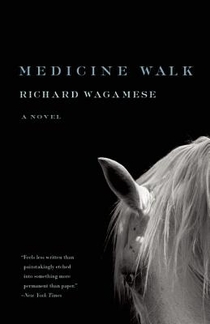 Wagamese, R: Medicine Walk