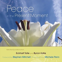 Peace in the Present Moment