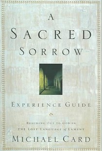 Sacred Sorrow Experience Guide, A