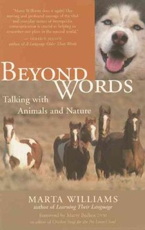 Beyond Words: Talking with Animals and Nature