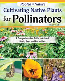 Cultivating Native Plants for Pollinators: A Comprehensive Guide to Attracting Birds, Bees, and Butterflies