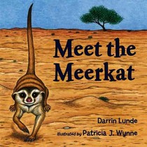 Meet the Meerkat
