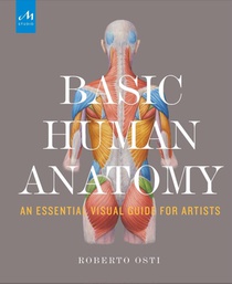 Basic Human Anatomy