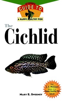 The Cichlid