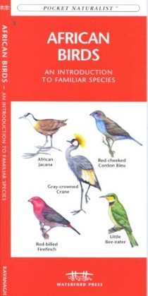 Africa Birds: A Folding Pocket Guide to Familiar Species