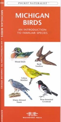 Michigan Birds: A Folding Pocket Guide to Familiar Species voorzijde