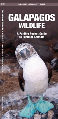 Kavanagh, J: Galapagos Wildlife