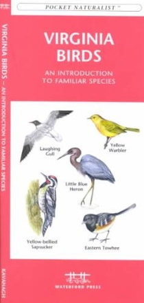 Virginia Birds