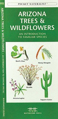 Arizona Trees & Wildflowers: A Folding Pocket Guide to Familiar Plants