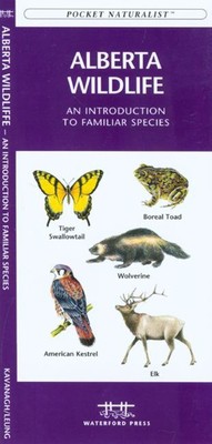 Ontario Birds: A Folding Pocket Guide to Familiar Species