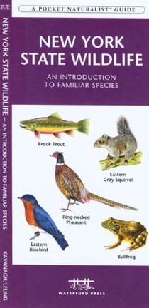 New York State Wildlife: A Folding Pocket Guide to Familiar Animals