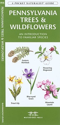Pennsylvania Trees & Wildflowers: A Folding Pocket Guide to Familiar Plants