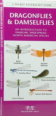 Dragonflies & Damselflies