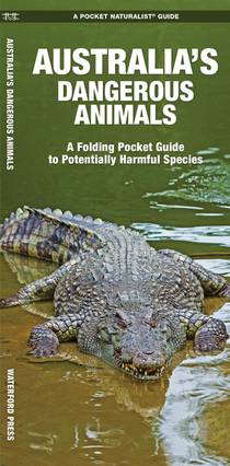 Kavanagh, J: Australia's Dangerous Animals