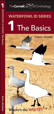 The Cornell Lab of Ornithology Waterfowl ID 1 The Basics