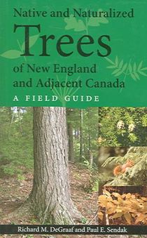 Native and Naturalized Trees of New England and Adjacent Canada