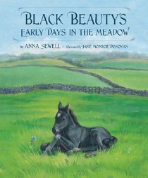 Black Beauty's Early Days in the Meadow voorzijde