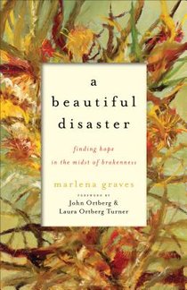 A Beautiful Disaster – Finding Hope in the Midst of Brokenness voorzijde