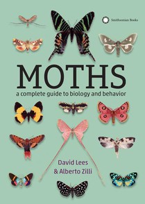 Lees, D: Moths