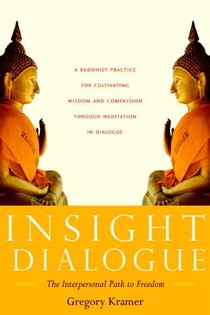 Insight Dialogue