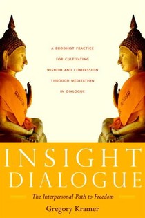 Insight Dialogue