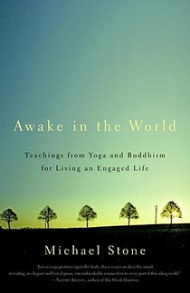 Awake in the World voorzijde