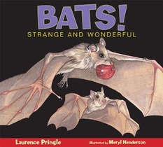 Bats!