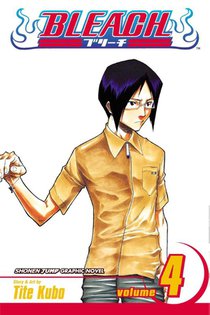 Bleach, Vol. 4