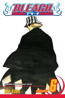 Bleach, Vol. 6