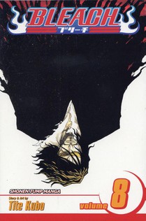 Bleach, Vol. 8