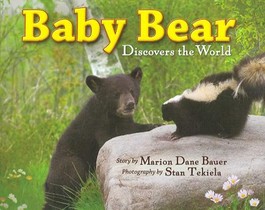 Baby Bear Discovers the World voorzijde