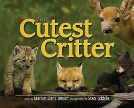 Cutest Critter voorzijde