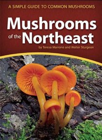 Mushrooms of the Northeast