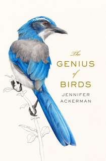 Ackerman, J: Genius of Birds