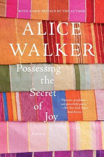 Possessing the Secret of Joy voorzijde