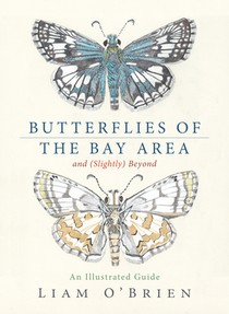 Butterflies of the Bay Area and (Slightly) Beyond
